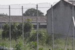 Chain Link Fencing